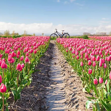 Tatil Evi 007 Petten