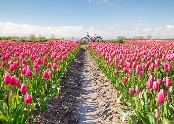 Σπίτι διακοπών 007 Petten